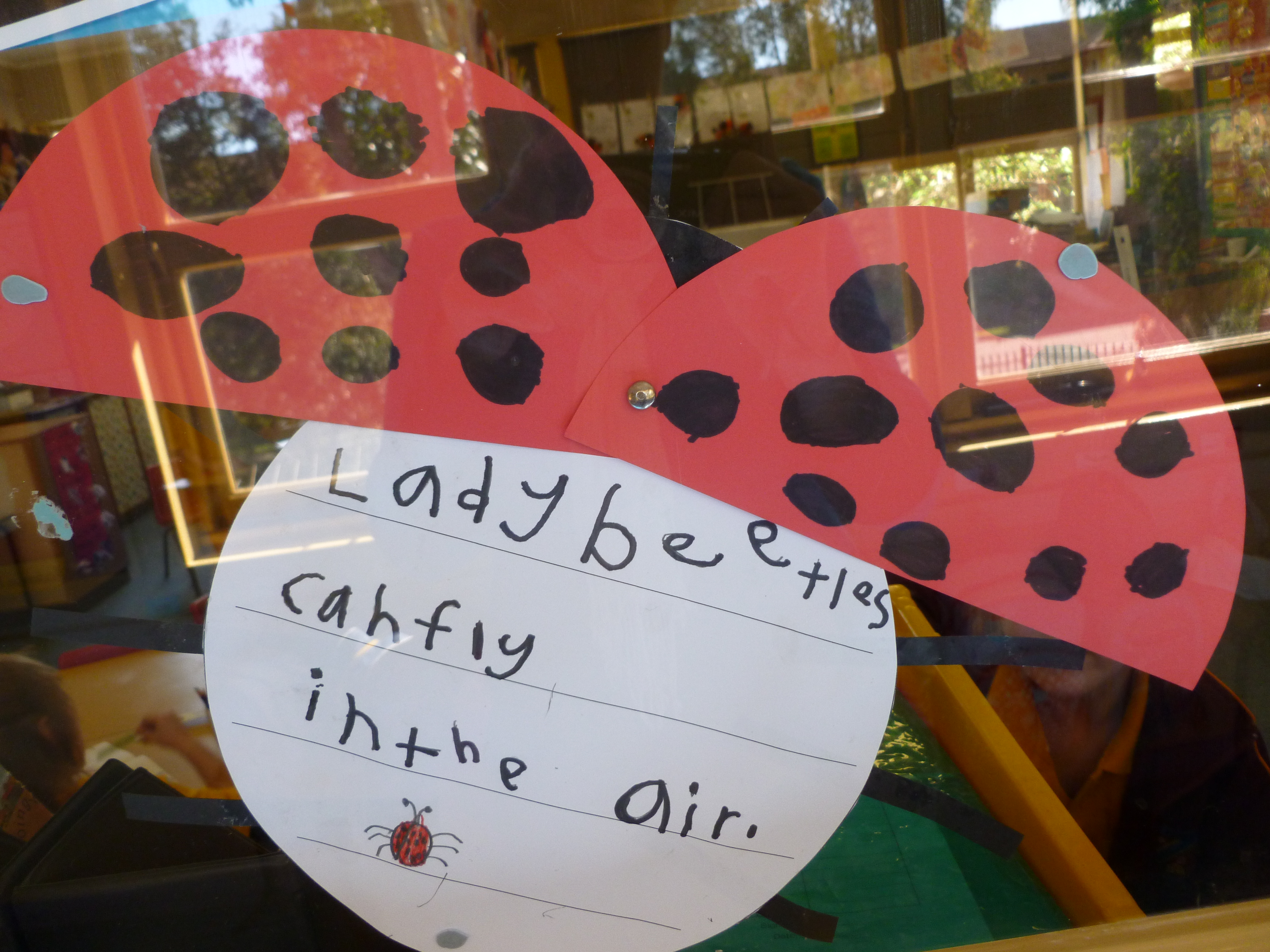 Ladybeetle story